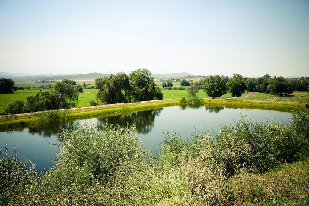 Surval Boutique Olive Estate Villa Оудсхорн Екстериор снимка